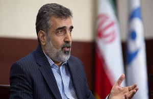 کمالوندی: پنج دستاورد هستهای ایران در اتریش به نمایش درمیآید