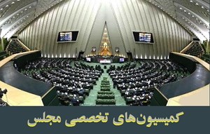 وزیر کشور برای پاسخگویی به نمایندگان به کمیسیونهای تخصصی مجلس میرود