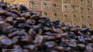 دپوی ۷ هزار کانتینر خرما در مرز‌ها