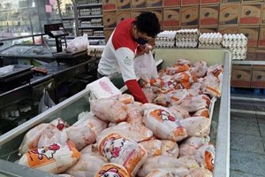 در بازار مرغ چه می‌گذرد؟/ قیمت هرکیلو مرغ ۲۳۰ هزارتومان