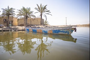 رئیس اداره احیای تالاب‌های خوزستان خبر داد: ۵۸ درصد تالاب شادگان خشک شده است/ تخصیص تنها نیمی از حق‌آبه تالاب