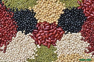 رئیس اتحادیه بنکداران اعلام کرد: جزئیات جدید از قیمت حبوبات در بازار