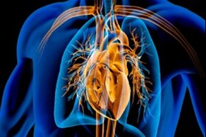 یک متخصص قلب مطرح کرد: عفونت‌های درمان‌نشده در کودکی، تهدیدی برای دریچه‌های قلب در میانسالی