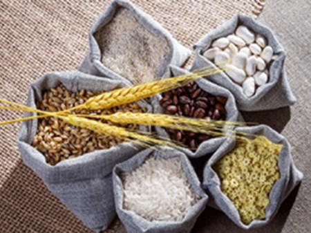 یک عضو کمیسیون کشاورزی مجلس مطرح کرد: افزایش قیمت حبوبات و لبنیات؛ ریشه گرانی در کجاست؟