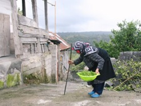 شیوع بالای «سالمند آزاری»/ هشدار؛ سوءبرداشت‌ها از «لوس شدن سالمندان»