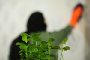 ترکیب مرگبار مواد شوینده در خانه‌تکانی