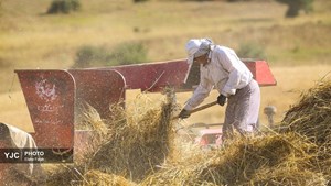 قانون کاهش معافیت حق‌بیمه سهم کارفرمایی در کارگاه‌های کشاورزی متوقف نشده است