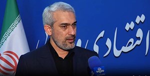 مدنی‌زاده: افزایش اعتبار کالابرگ بزودی اطلاع‌رسانی می‌شود