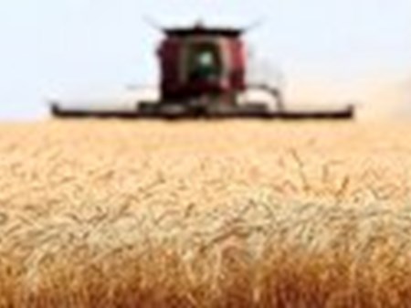 امسال ۹۰ میلیون محصولات زراعی تولید می شود