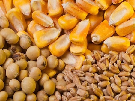علت نوسانات اخیر بازار گوشت چیست؟
