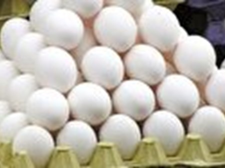 مشکلی در تامین و تولید تخم مرغ نداریم/پیش بینی تولید ۹۵ هزار تن تخم مرغ در مرداد