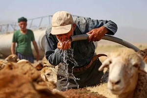 آبرسانی به عشایر خوزستان با ۳۷ دستگاه تانکر آبرسان