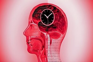 «فستینگ» موجب تغییرات پویا در مغز می‌شود