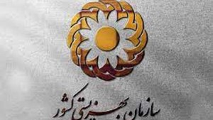 فرزندان مراکز بهزیستی به شرط توانمندسازی شغلی و روانی ترخیص می‌شوند