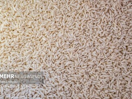 ۱۸۰ هزار تن برنج به زودی وارد کشور می‌شود