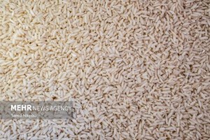 ۱۸۰ هزار تن برنج به زودی وارد کشور می‌شود