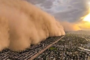 امکان تثبیت ریزگردها با کشت گیاهان بومی و پنل‌های خورشیدی/پالایشگاه‌ها در مسیر کاهش آلودگی