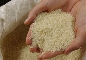 برنج خوزستان شناسه‌دار می‌شود