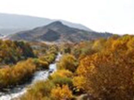 چشم‌انداز پاییزی بلوطستان‌های زیبای لرستان+تصاویر