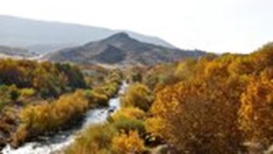 چشم‌انداز پاییزی بلوطستان‌های زیبای لرستان+تصاویر