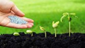 توزیع ۵۰۰ هزارتن بذر در استان‌های کشور